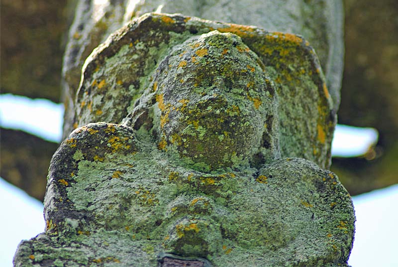 Circuit de découverte de Peigney (circuit long)