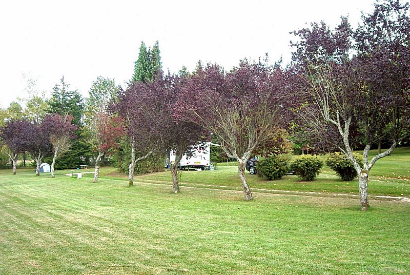 Camping de mon village d'Auberive, Auberive - photo 4