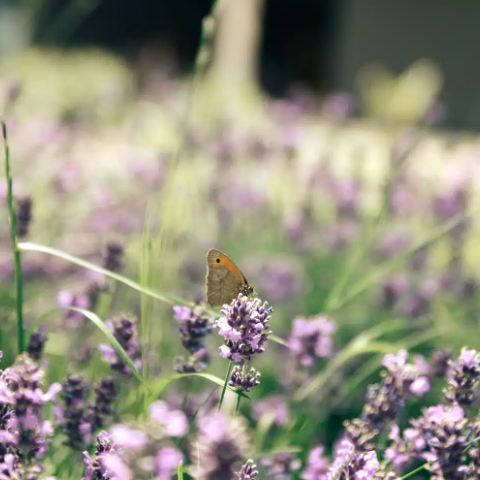 Capture d'écran 2026-03-06 161810