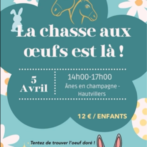 Chasse aux oeufs avec Ânes en Champagne