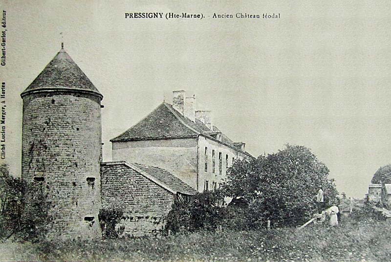 CHATEAU DE PRESSIGNY, Pressigny - photo 2