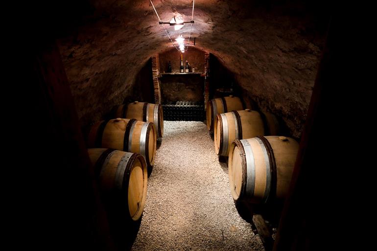 Cave 5X4A7084 - Credits @violaaa.photo