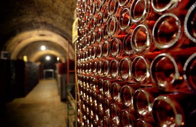 ChampBeurtonCouv_037