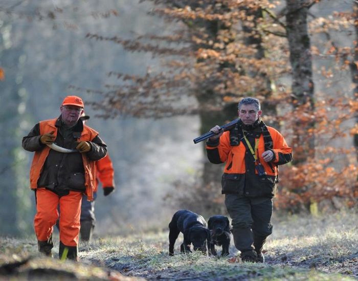 FEDERATION DES CHASSEURS DE LA HAUTE-MARNE, Chaumont - photo 3