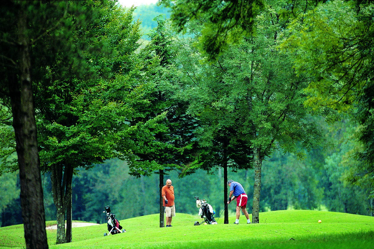 AU GOLF D'ARC-EN-BARROIS
