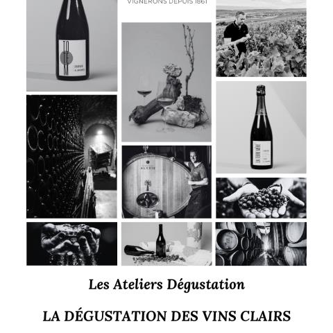 Champagne A. Leconte - Les Vins Clairs Troissy