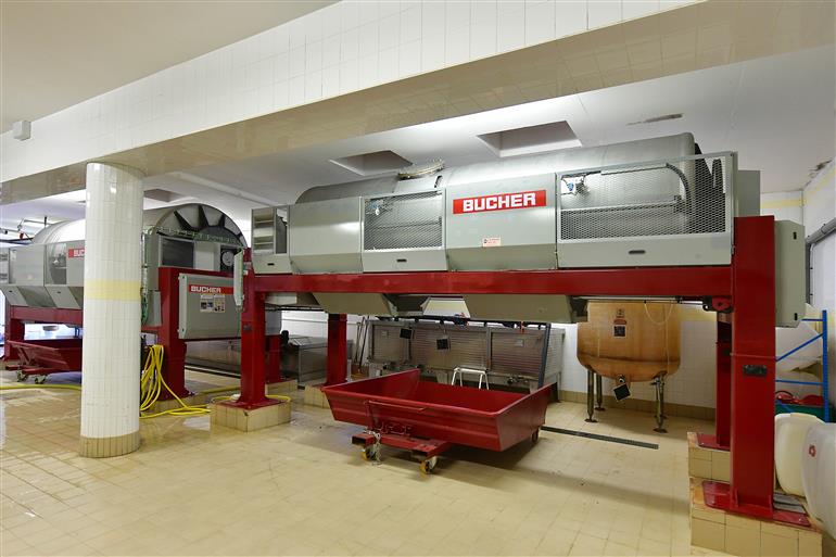 Champagne-Alain-Vesselle---photo-Michel-Jolyot--10-