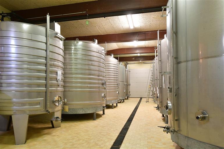 Champagne-Alain-Vesselle---photo-Michel-Jolyot--22-