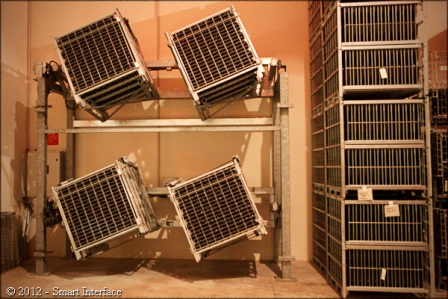 Champagne Chapuy - Oger