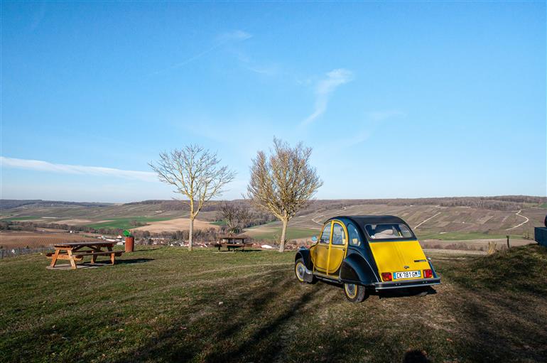 Champagne Eric Taillet (1)