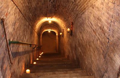 Champagne Gonet Sulcova - Epernay