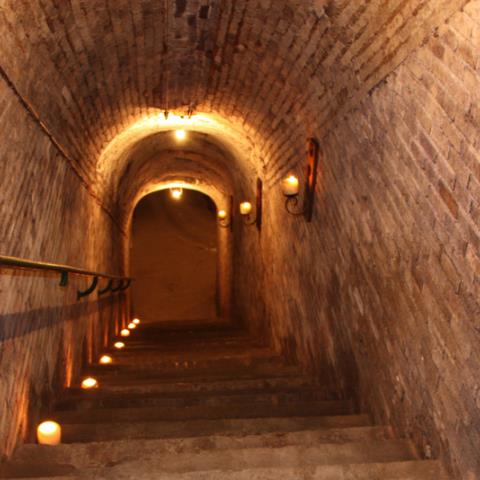 Champagne Gonet Sulcova - Epernay