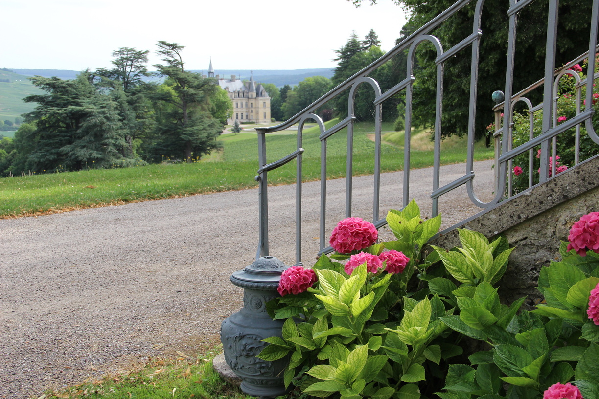 Champagne Le Gallais - Boursault