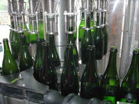 Champagne Petitjean Pienne - Cramant