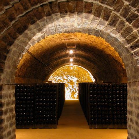 Champagne Sanger - Avize