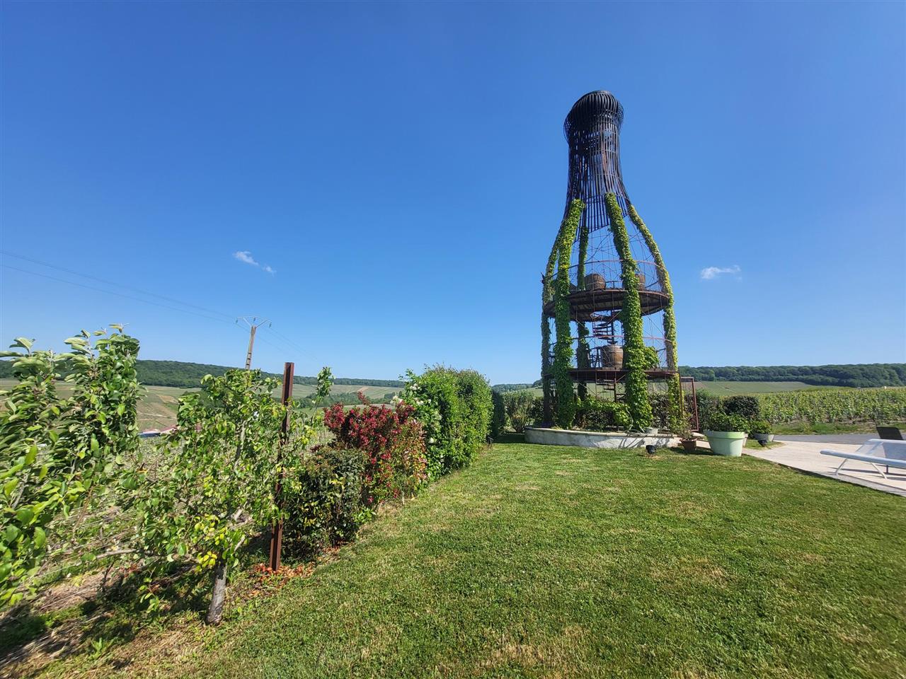 Champagne Yohann Michaux (6)