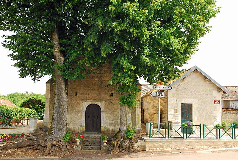 CHAPELLE SAINTE-ANNE DE COURCELLES-SUR-AUJON, Saint-Loup-sur-Aujon - photo 5