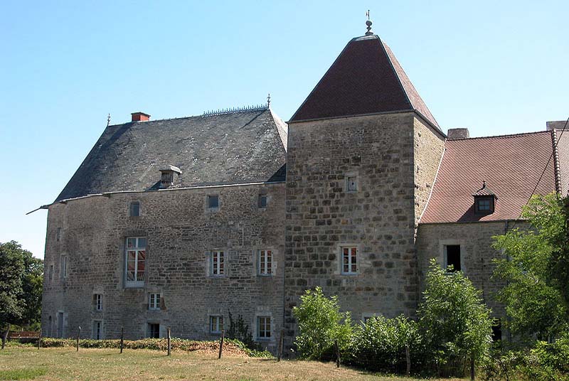 CHATEAU DE CHALANCEY, Chalancey - photo 2