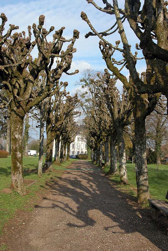 CHATEAU DE CORGIRNON, Champsevraine - photo 3
