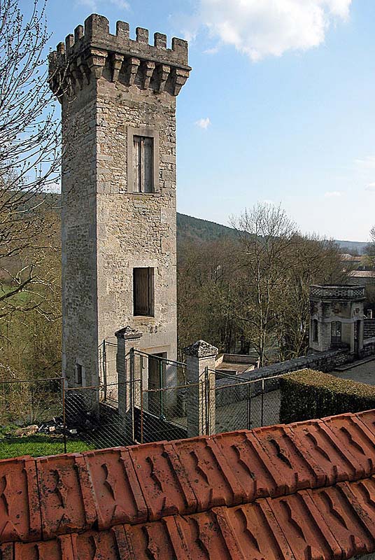 CHATEAU DE COUBLANC, Coublanc - photo 2