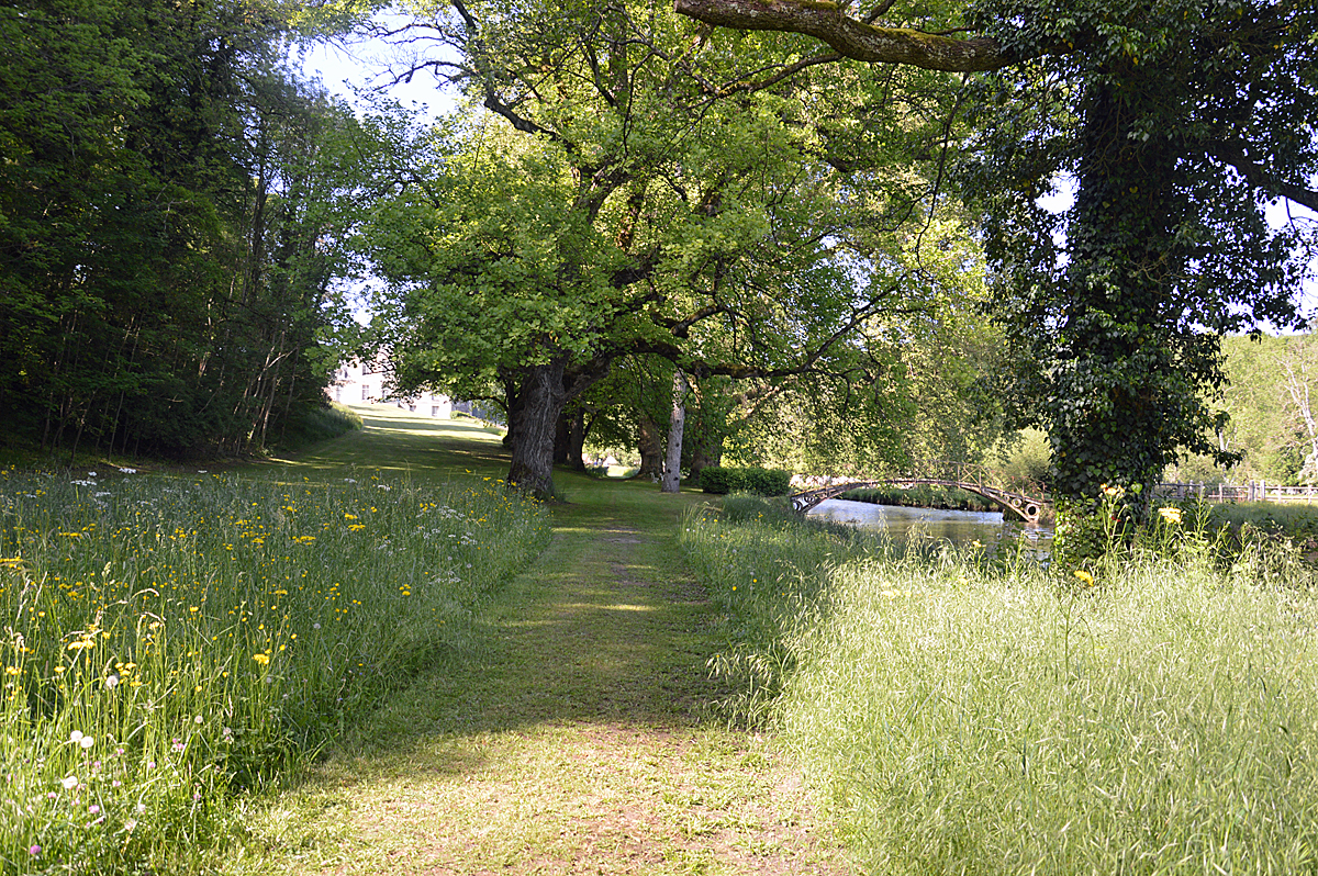 CHATEAU DE CIREY-SUR-BLAISE, Cirey-sur-Blaise - photo 3
