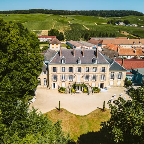 Chateau de Pierry-2 copie