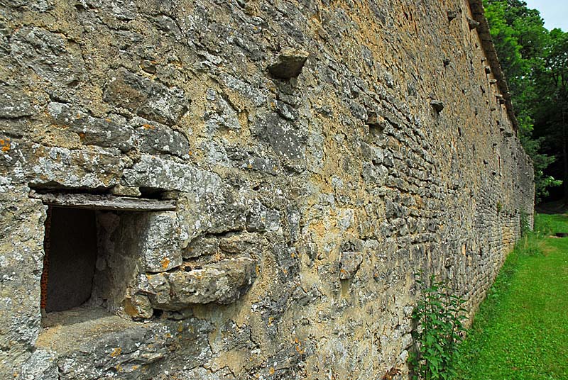 CHATEAU DE SILIERE ET SON JARDIN, Cohons