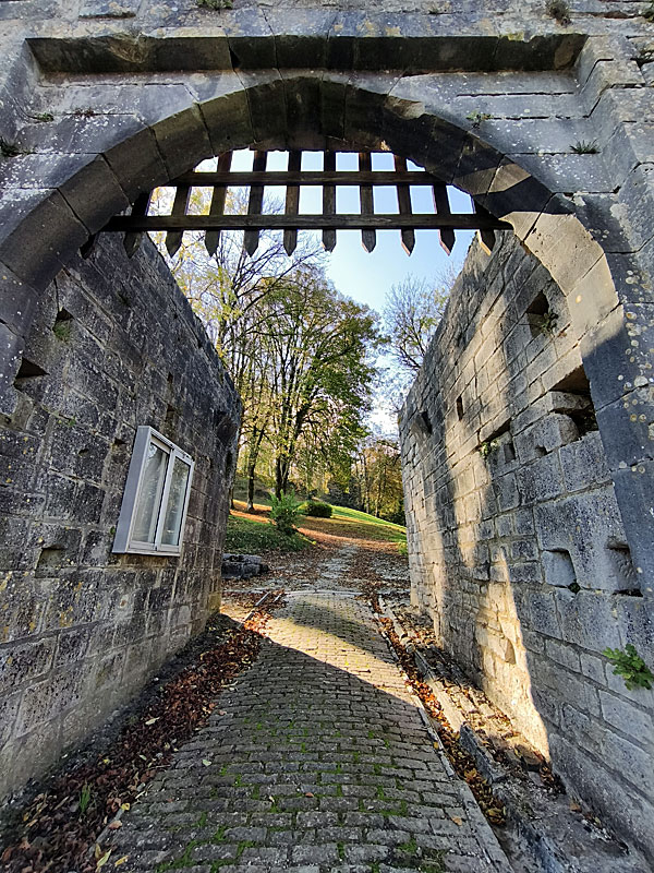 CHATEAU DE LAFAUCHE, Lafauche - photo 10