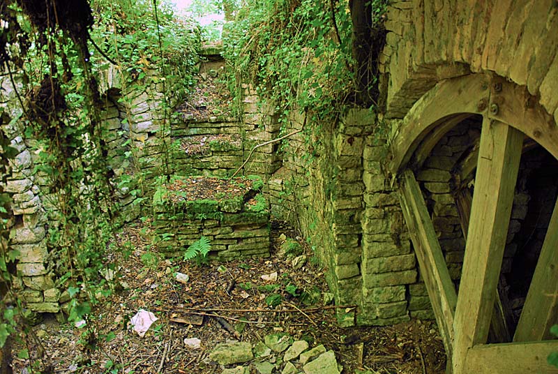 CHATEAU DE MONTSAUGEON, Le Montsaugeonnais - photo 2