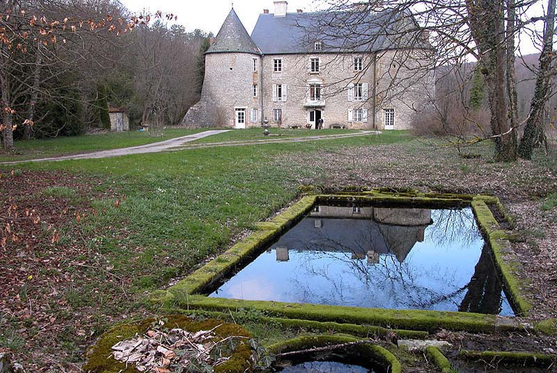 CHATEAU DE VIVEY, Vivey - photo 2