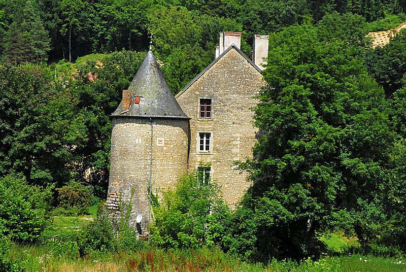 CHATEAU DE VIVEY, Vivey - photo 4