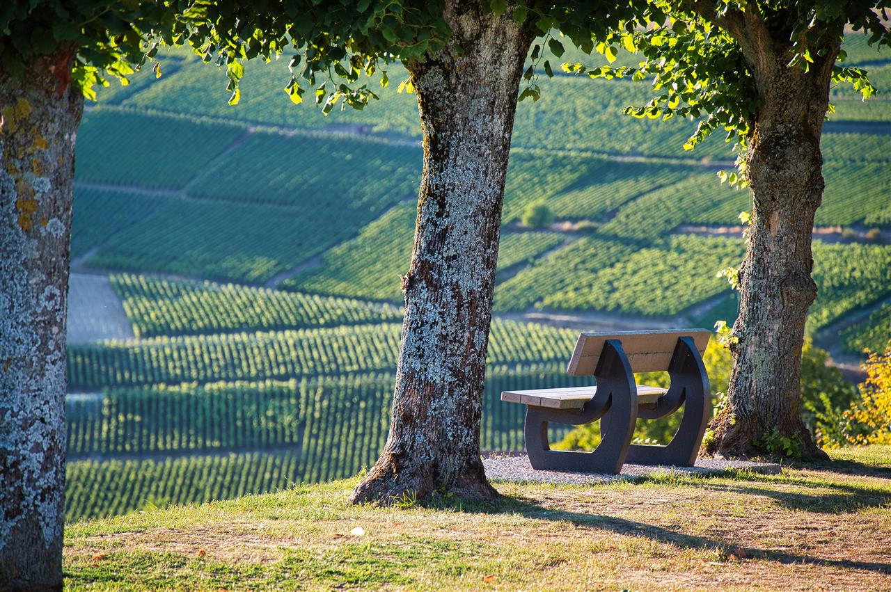 Chatillon-2-©VisuelDuoOTPC