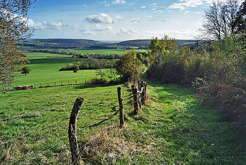 Visite thématique au Val d'Esnoms : Balade-conférence, lecture du paysage du Val-d’Esnoms et du plateau de Langres