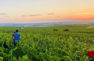 Chp DS Robert-IMG_1988