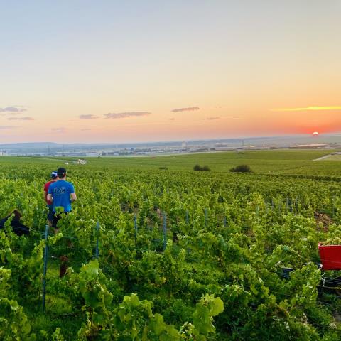 Chp DS Robert-IMG_1988