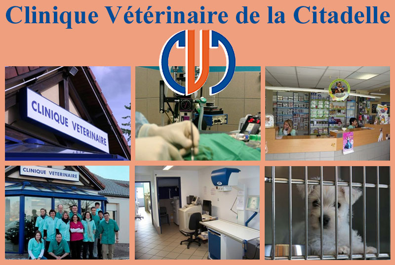 CLINIQUE VETERINAIRE DE LA CITADELLE