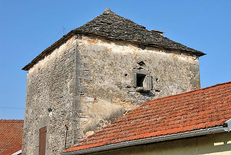 PIGEONNIER DE FERME, Dommarien - photo 5