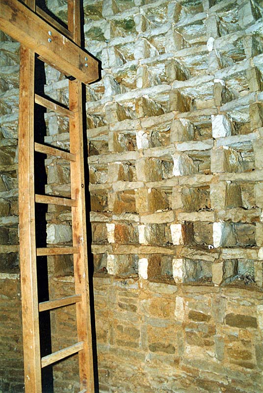 COLOMBIER DU CHATEAU « CHAMPENOIS » A MARAC, Marac - photo 2