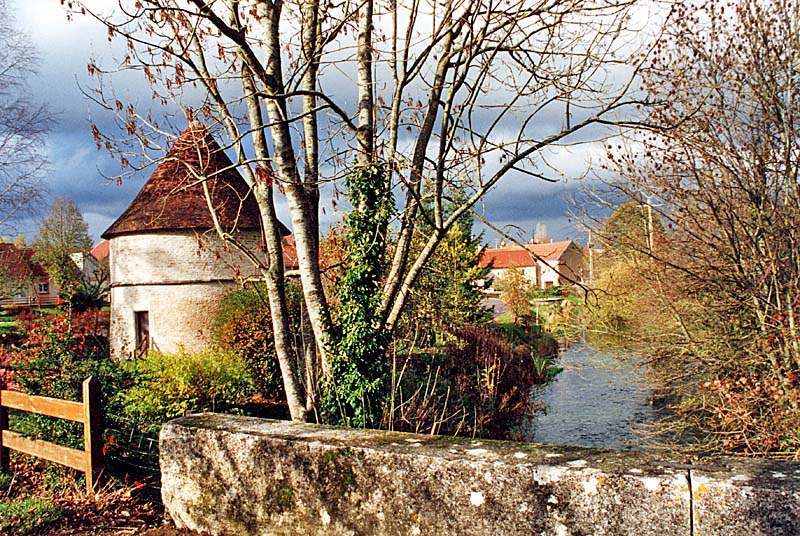 COLOMBIER DU CHATEAU « CHAMPENOIS » A MARAC, Marac - photo 8