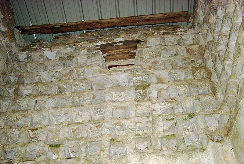 COLOMBIER DU CHATEAU DE POINSON-LES-GRANCEY, Poinson-lès-Grancey - photo 3