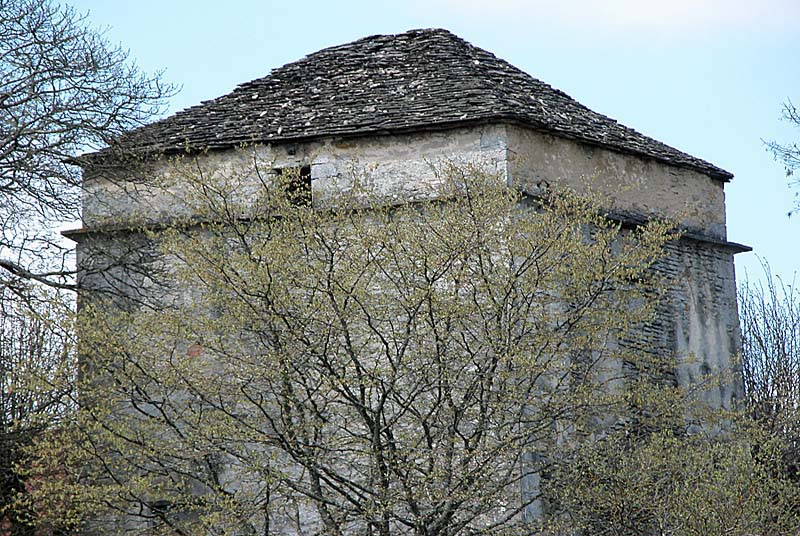 COLOMBIER DU CHATEAU DE RIVIERE-LES-FOSSES, Rivière-les-Fosses - photo 2