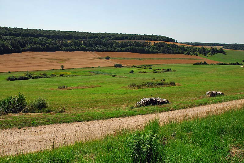 PELOUSES, BOIS ET MARAIS DE LA COMBE COURTEAU ET DU CHANET, Praslay