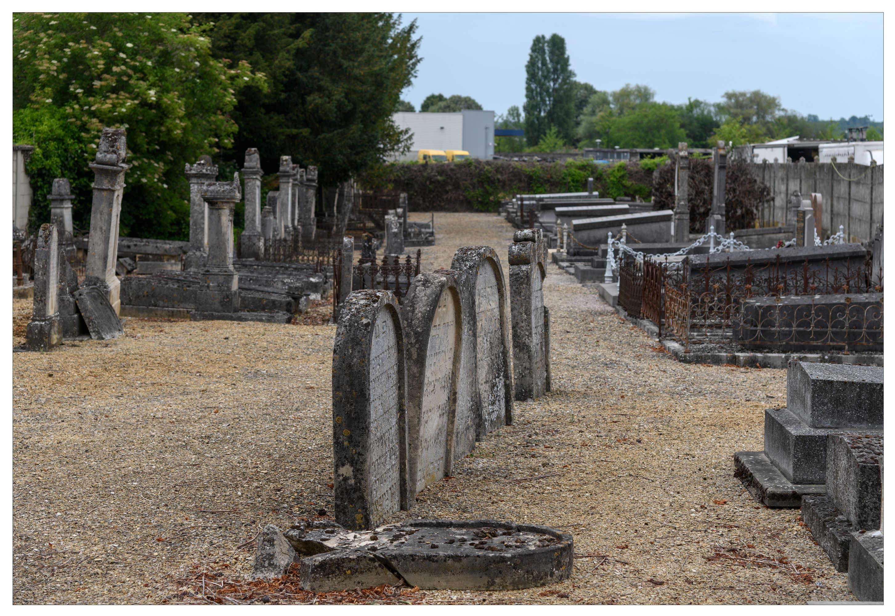 Printemps des cimetières : visite guidée du cimetière israélite
