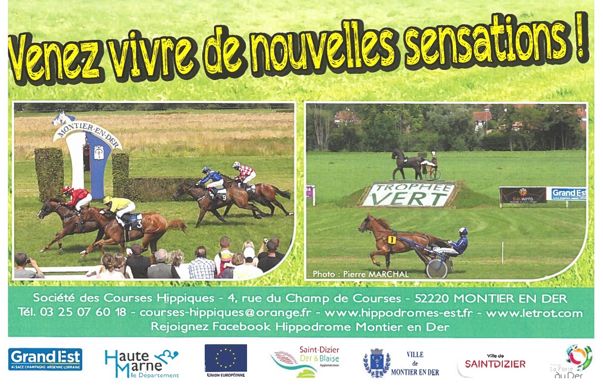 Courses hippiques : Tout trot
