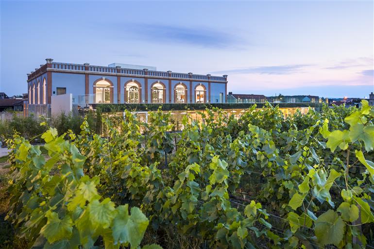 Crédit photo BOEGLY+GRAZIA (23)