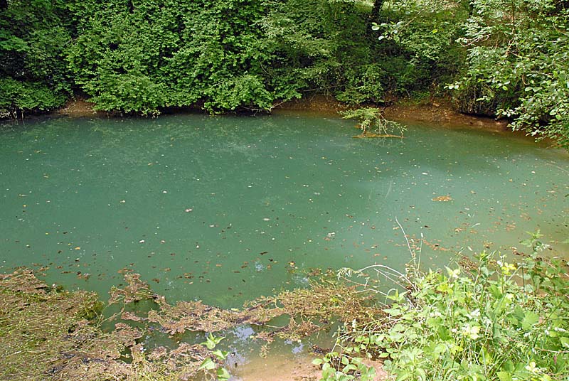 PELOUSE SECHE DU CREUX JANIN, Cusey - photo 2