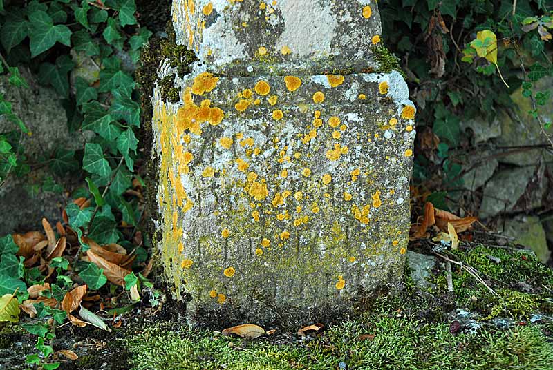 CROIX DE POINSENOT (2), Poinsenot