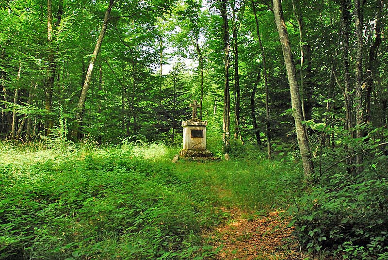 LA CROIX AU LOUP DE VIVEY, Vivey - photo 4