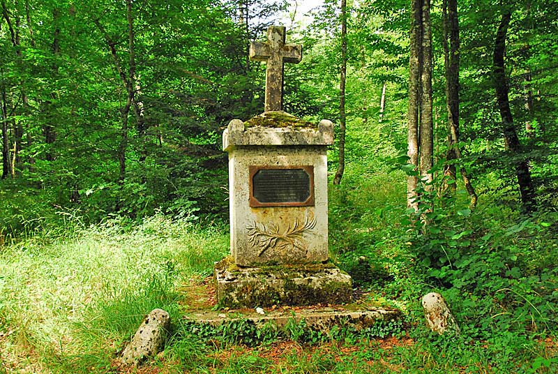 LA CROIX AU LOUP DE VIVEY, Vivey - photo 10