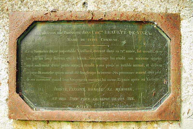 LA CROIX AU LOUP DE VIVEY, Vivey - photo 8